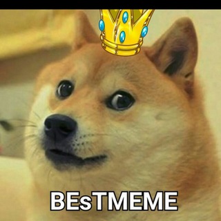 BEST MEMES [ESPAÑOL]