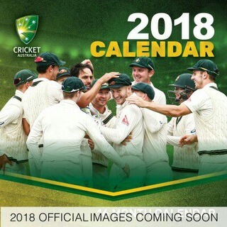 Cricket world