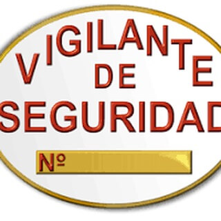 Vigilantes de Seguridad 