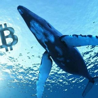 Whales Insider Info