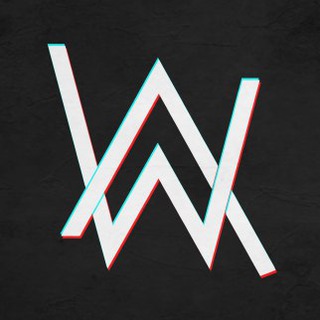 Fans de Alan Walker