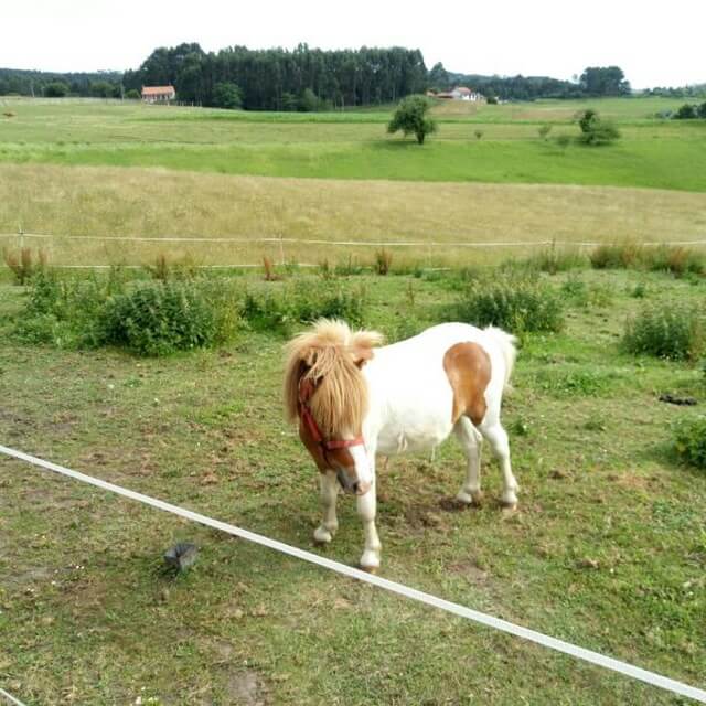 Ganaderos y Agricultores Asturias