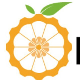 Orange Pi