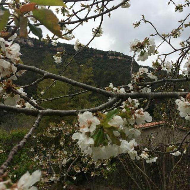 Permacultura Global, Zona 9