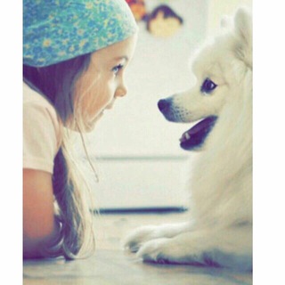 ♛ RᎧM GℜᎧÛP ⇣✿