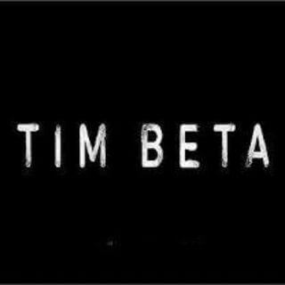 Tim beta (O legado)