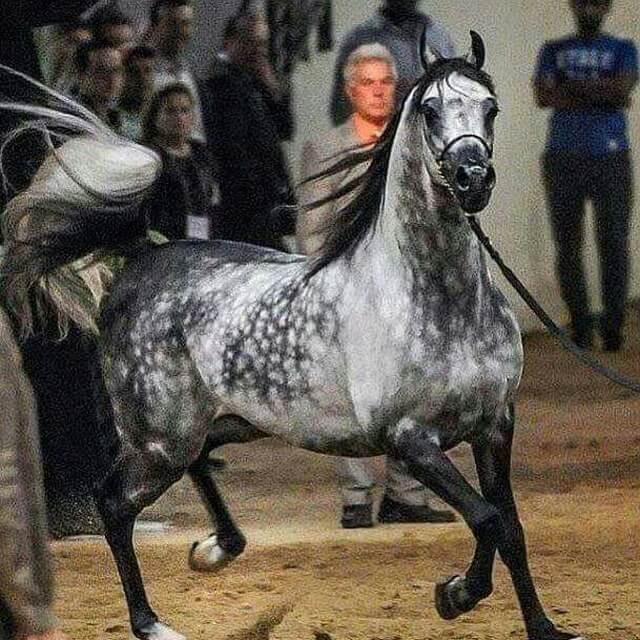 اسرار بناء الشخصية