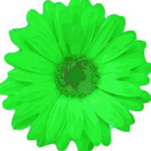 جروب اعلانات قنوات الانوار 