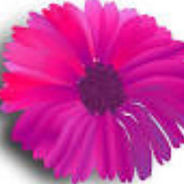  جروب الانوار المفيدة 