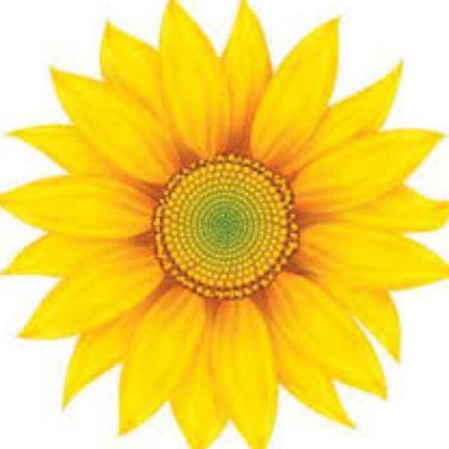 جروب الانوار المنوعة 