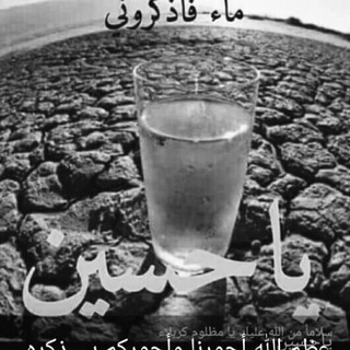 جروب العصافير 