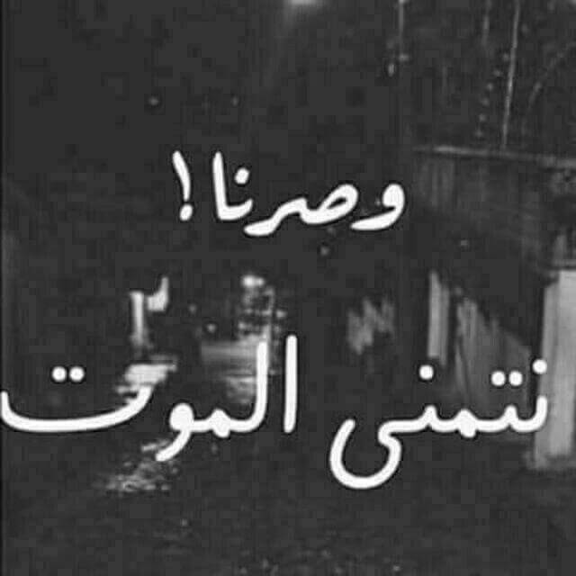 شباب وبنات دردشة وناسة