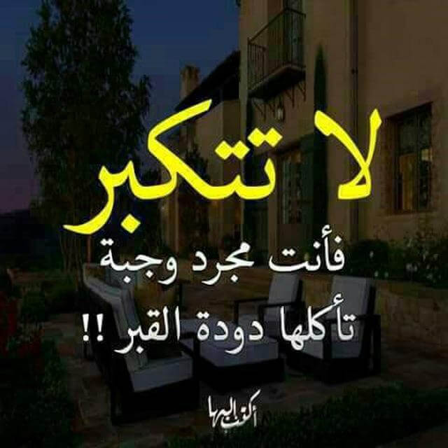 كل العرب (الناس المحترمين)