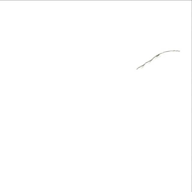 كل مايخص الانستقرام 