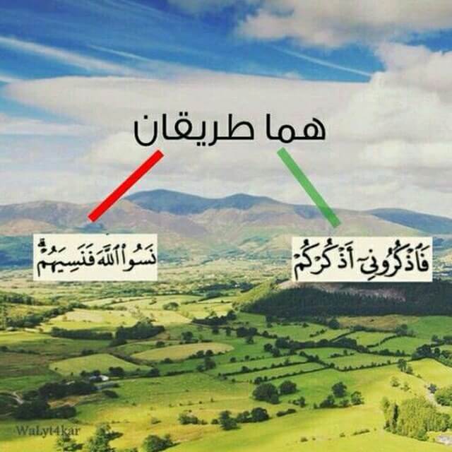 هل صليت اليوم علي محمد