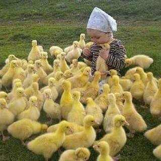 یوم من ایام