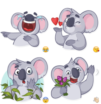 Koala Chuck